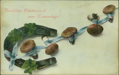 Ansichtskarte  Geburtstag Birthday Künstlerkarte Hufeisen Steinpilz 1912