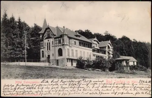 Ansichtskarte Bad Sachsa Hotel Eulingswiese 1908