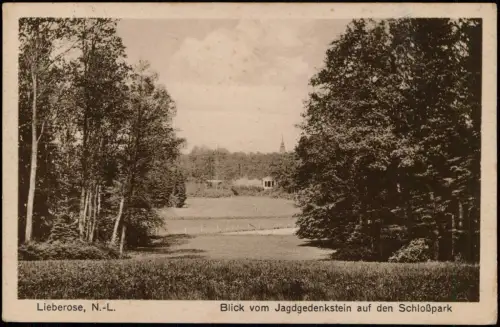 Ansichtskarte Lieberose Blick vom Jagdgedenkstein auf den Schloßpark 1928