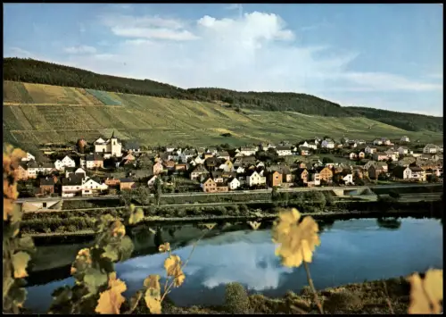 Ansichtskarte .Rheinland-Pfalz Burg an der Mosel (Panorama-Ansicht) 1980