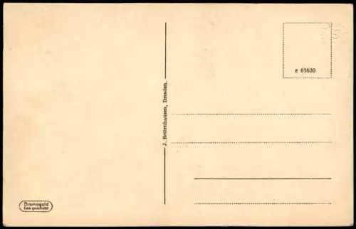 Ansichtskarte Chemnitz Rathaus Partie (Goldrand-Postkarte) 1910