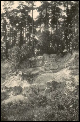 Ansichtskarte Kurort Hartha-Tharandt Partie am Harthaberg 1912