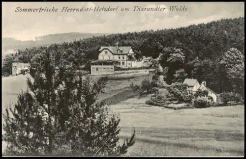 Ansichtskarte Herrndorf-Halsbrücke Stadt und Restaurant 1912