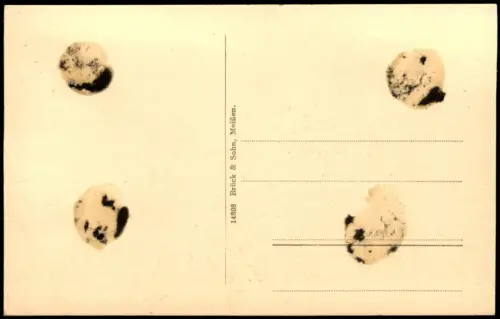 Ansichtskarte Meißen Partie am Rathaus - Auto 1912