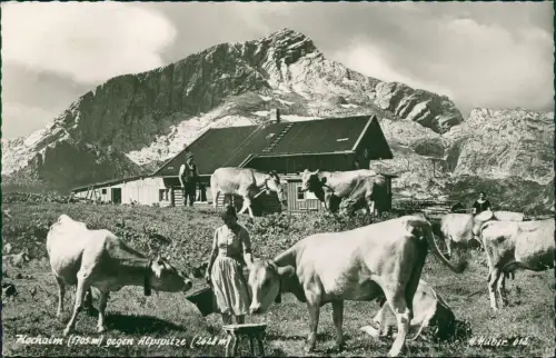 Ansichtskarte Garmisch-Partenkirchen Die Hochalm - Kühe Bäuerin 1969