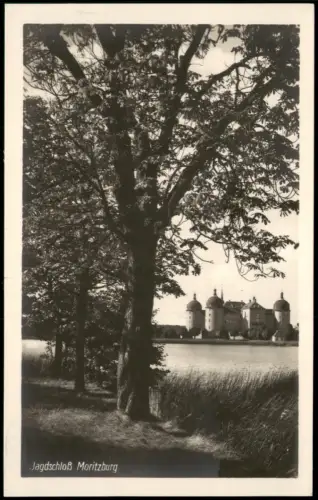 Ansichtskarte Moritzburg Kgl. Jagdschloss Bäume am Ufer 1928
