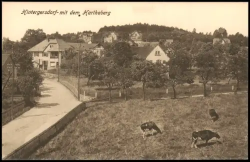 Ansichtskarte Hintergersdorf-Tharandt Straßenpartie 1922