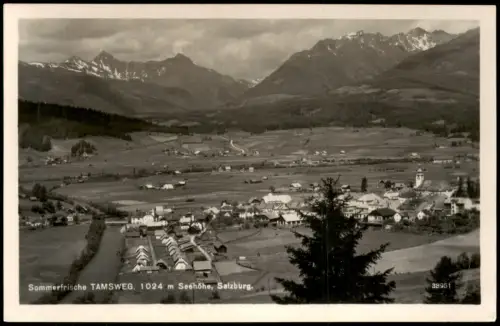 Ansichtskarte Tamsweg Panorama "Sommerfrische" Berg-Panorama 1951