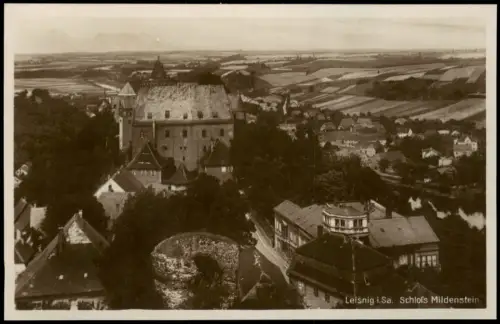 Ansichtskarte Leisnig Blick über das Schloss Mildenstein - Fotokarte 1928