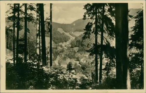 Ansichtskarte Bad Grund (Harz) Blick auf die Stadt - Fotokarte 1956