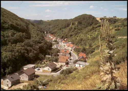 Ansichtskarte Dalberg-Bad Kreuznach Panorama-Ansicht Blick Soonwald 1999/1980