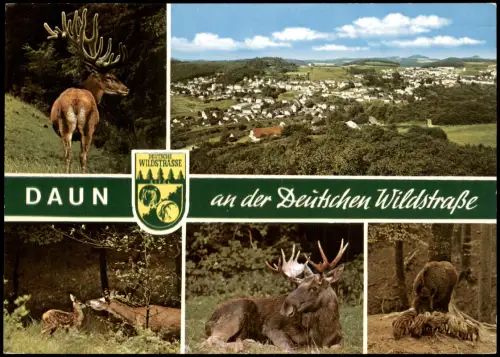 Daun Eifel Mehrbildkarte DEUTSCHE WILDSTRASSEE Platz für Europas Wildtiere 1975