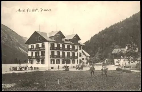 Plansee (Tirol) Hotel Forelle Plansee, Leute Angestellte, Fuhrwerk davor 1910