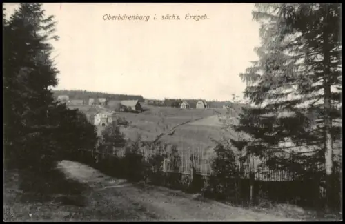 Ansichtskarte Oberbärenburg-Altenberg (Erzgebirge) Weg an der Stadt 1912
