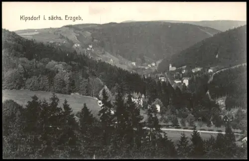 Ansichtskarte Kipsdorf-Altenberg (Erzgebirge) Panorama-Ansicht 1910
