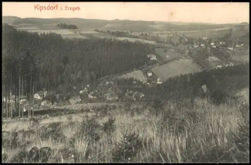 Kipsdorf-Altenberg (Erzgebirge) Landschaftspanorama im Tal liegender Ort 1915