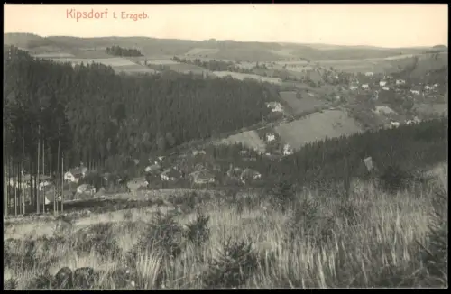 Kipsdorf-Altenberg (Erzgebirge) Landschaf  Blick auf im Tal liegenden Ort 1915