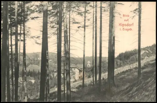 Ansichtskarte Kipsdorf-Altenberg (Erzgebirge) Blick vom Hang 1912