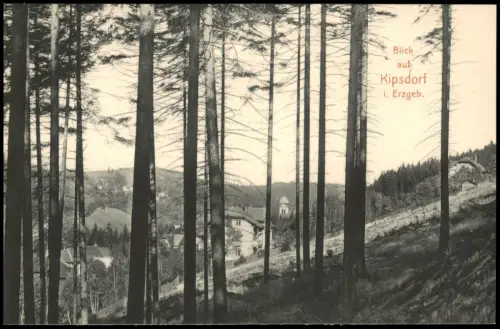 Ansichtskarte Kipsdorf-Altenberg (Erzgebirge) Blick vom Hang 1912