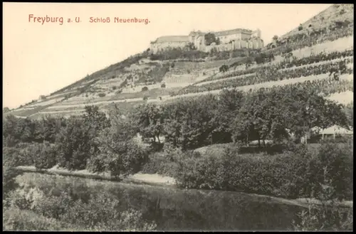 Freyburg (Unstrut) Blick über den Fluß auf Schloss Neuenburg 1912