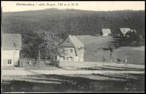 Ansichtskarte Oberbärenburg-Altenberg (Erzgebirge) Stadtpartie 1913