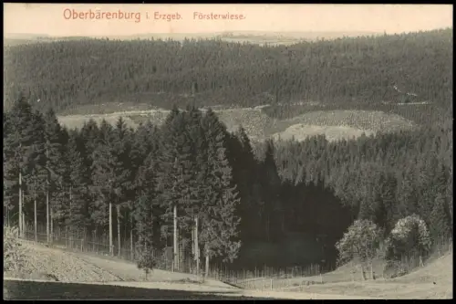 Oberbärenburg-Altenberg (Erzgebirge) Erzgebirge Försterwiese. 1912