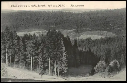 Ansichtskarte Oberbärenburg-Altenberg (Erzgebirge) Försterwiese 1935
