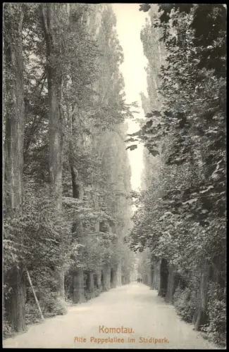Postcard Komotau Chomutov Alte Pappelalle im Stadtpark 1912