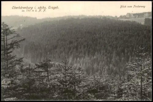 Ansichtskarte Oberbärenburg-Altenberg (Erzgebirge) Blick vom Tirolerweg 1930