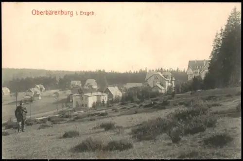 Oberbärenburg-Altenberg (Erzgebirge)   Häusern und Waldlandschaft 1915