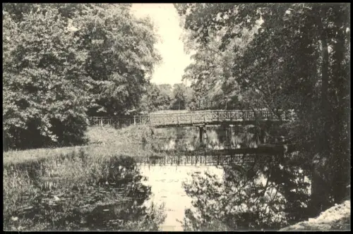 Ansichtskarte Bad Liebenwerda Wäldchen - Holzbrücke 1911