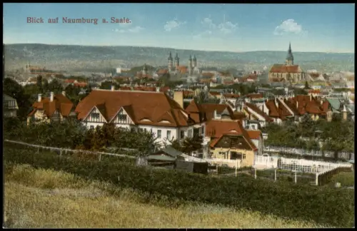 Ansichtskarte Naumburg (Saale) Stadtansicht mit Dom 1912