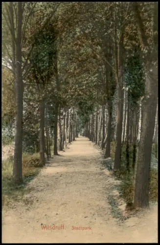 Ansichtskarte Wilsdruff Allee im Stadtpark 1912