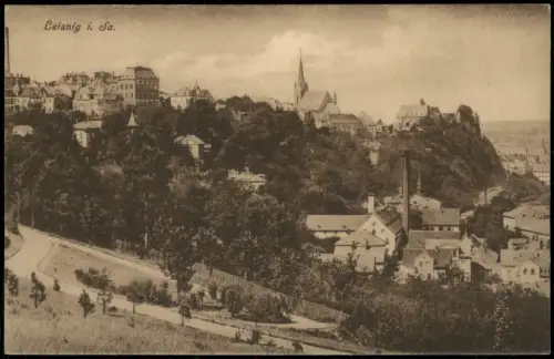 Ansichtskarte Leisnig Gesamtansicht mit Burg Mildenstein und Stadtkirche 1912