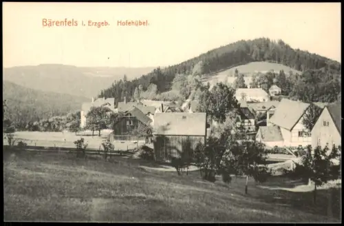 Bärenfels Altenberg (Erzgebirge) Blick auf den Hofehübel mit Dorfansicht 1911