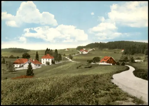 Dachsberg (Südschwarzwald) Panorama Blick auf  FRÖHND (Schwarzwald) 1960