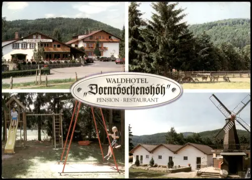 Hemfurth-Edersee-Edertal WALDHOTEL Dornröschenshöh (Mehrbild-AK) 2005