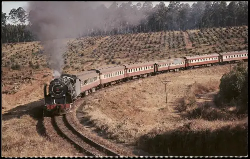 Ansichtskarte  Dampflokomotive Klasse 15F bei Tzaneen 1985