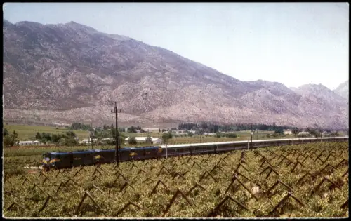 Ansichtskarte  Blue Train in der Hex River Valley nerby De Dooms 1980