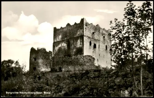 Ansichtskarte Neunußberg-Viechtach Burgruine Neunußberg Bayr. Wald 1955