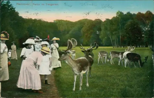 Ansichtskarte Hannover Partie im Tiergarten, feine Damen 191