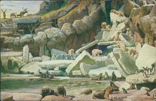 Stellingen-Hamburg Tierpark Hagenbeck Nordland-Panorama mit Eisbären 1911