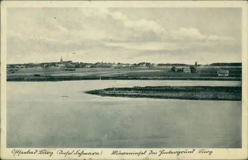 Ansichtskarte Burg auf Fehmarn Ostseebad Stadt mit Möweninsel 1940