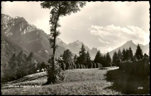 .Tirol Alpenlandschaft mit Heuhocken und Bergblick Stubaital 1958