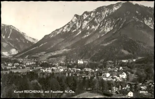 Ansichtskarte Reichenau an der Rax Ortsansicht mit Gebirgszug Feuchter 1960