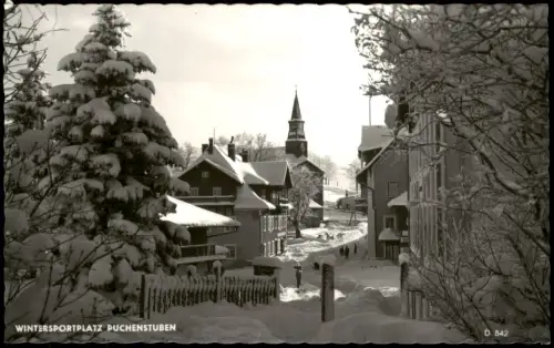 Ansichtskarte Puchenstuben Wintersportplatz Puchenstuben im Winter 1966