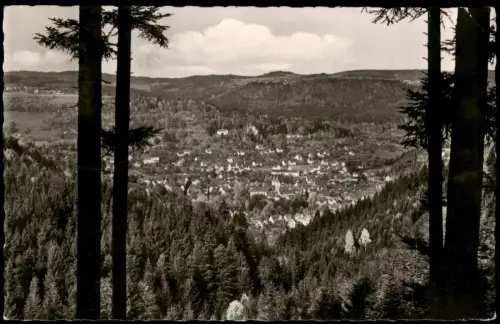 Ansichtskarte Murrhardt Panorama-Ansicht Blick vom Riesberg 1963