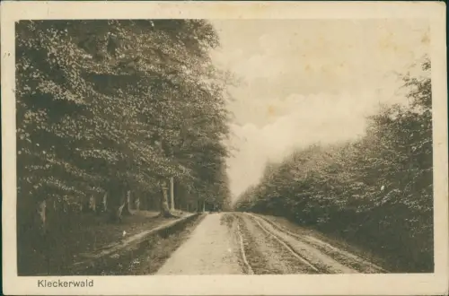 Ansichtskarte .Niedersachsen Weg im Kleckerwald 1921