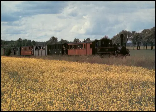 Dampflokomotive Östra Södermanlands Mariefredoch Läggesta Lok 4 KM Nelsson 1988