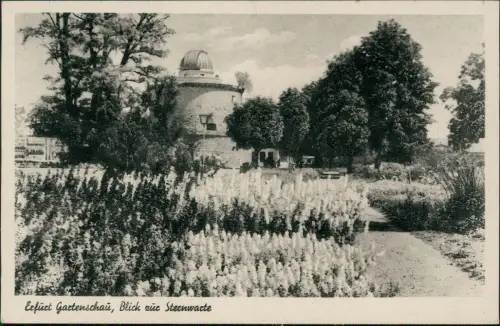 Ansichtskarte Erfurt Gartenschau mit Blick zur Sternwarte 1953